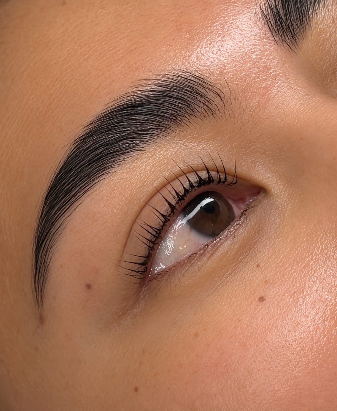 Brows